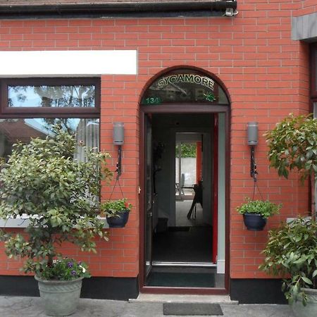 Sycamore House B&B Δουβλίνο Εξωτερικό φωτογραφία